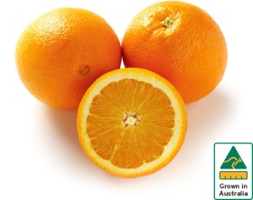 Australian-Navel-Oranges on sale