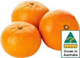 Australian-Mandarins on sale
