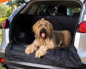 Cabin+Crew+Pet+Travel+Accessories