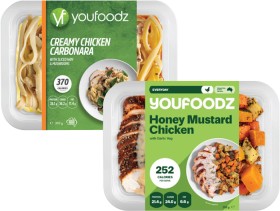 Youfoodz-Regular-Meal-300g-350g on sale