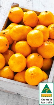 Australian-Mandarins on sale