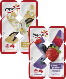 Yoplait+Yoghurt+6x160g