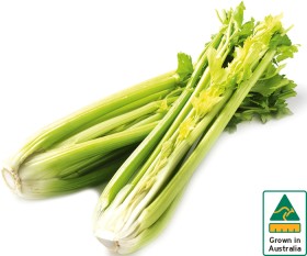 Australian+Celery+Bunch