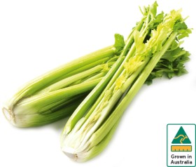 Australian+Celery+Bunch