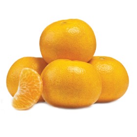 Australian-Phoenix-Mandarins on sale