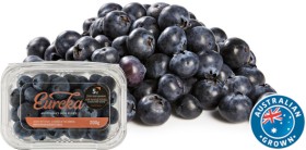 Australian-Eureka-Blueberries-200g-Punnet on sale