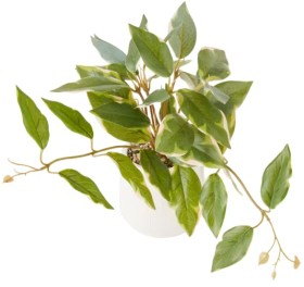 Artificial+Two+Tone+Trailing+Plant