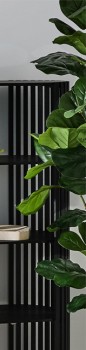 Tall+Artificial+Fiddle+Fig
