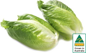Australian-Baby-Cos-Lettuce-Twin-Pack on sale