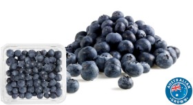Australian+Blueberries+125g+Punnet