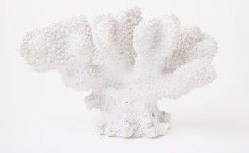 Australian-House-Garden-Atolle-Coral-Object on sale
