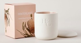Australian+House+%26amp%3B+Garden+Hinterland+Candle+-+Lemon%2C+Pine+%26amp%3B+Salt