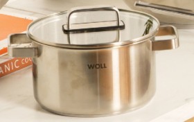 WOLL-Steel-Stock-Pot-with-Lid-24cm75L on sale