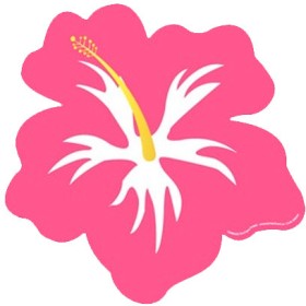 Cutout-Hibiscus-Pink-Ea on sale
