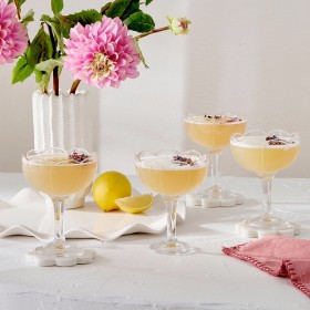 Lilly-Cocktail-Coupe-4-Pack-by-MUSE on sale