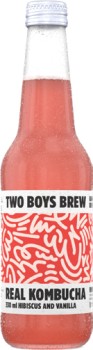 Two+Boys+Brew+Kombucha+330mL+Selected+Varieties