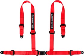 SAAS+Harness+Seat+Belts