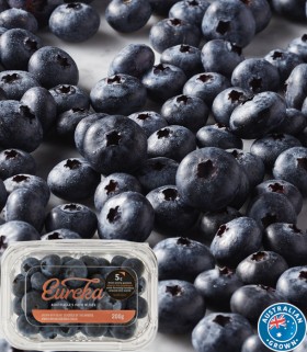 Australian+Eureka+Blueberries+200g+Punnet