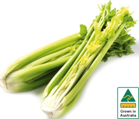 Australian+Celery+Bunch