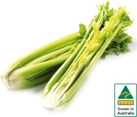 Australian+Celery+Bunch