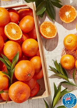 Australian+Murcott+Mandarins