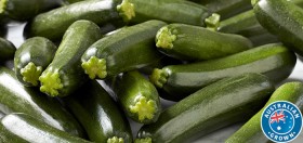Australian+Green+Zucchini