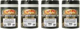 SELECTED+Gulf+Western+20L+BULK+ENGINE+OILS%5E