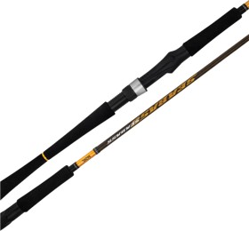 20%25+off+Daiwa+Seabass+Surf+Rods
