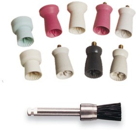 20%25+off+Young+Prophy+Cups%2C+Angles+and+Brushes
