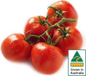 Australian+Truss+Tomatoes