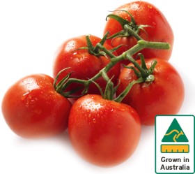 Australian+Truss+Tomatoes