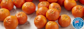 Australian+Afourer+Mandarin