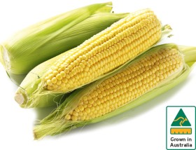 Australian+Sweet+Corn+500g+Pack