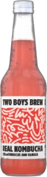 Two+Boys+Brew+Kombucha+330mL+Selected+Varieties