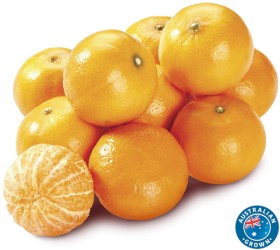 Australian+Murcott+Mandarins