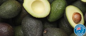 Australian-Hass-Avocados on sale