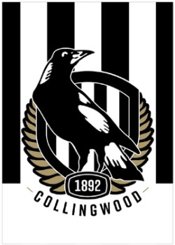 AFL+Team+Poster