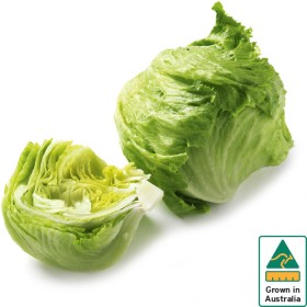 Australian-Iceberg-Lettuce on sale