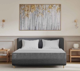 Tempur+Ease+22+Hybrid+Mattress