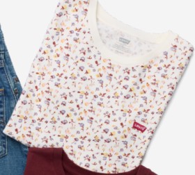Levis-Perfect-Tee-in-Deirdre-Ditsy-Floral-Egret on sale