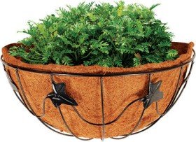 Metal+Wall+Planter+with+Husk