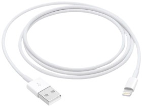 Apple+USB-A+Lightning+Cable+1m