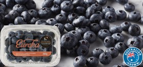 Australian+Eureka+Blueberries+200g+Punnet
