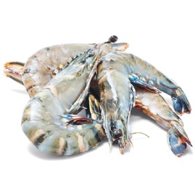 Thawed+Extra+Large+Australian+Green+Tiger+Prawns