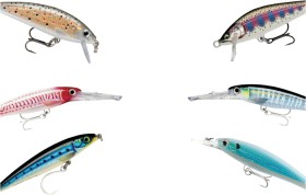 15-off-Regular-Price-on-All-Hardbody-Lures-by-Rapala on sale