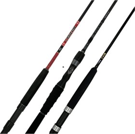 20%25+off+Regular+Price+on+These+Daiwa+Rods+by+BG+Bluewater%2C+Td+Black+%26amp%3B+Beefstick+Z
