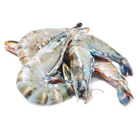 Thawed-Extra-Large-Australian-Green-Tiger-Prawns on sale