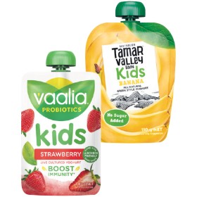 Vaalia-Probiotics-Kids-Yoghurt-Pouch-140g-or-Tamar-Valley-Kids-Yoghurt-Pouch-110g-From-the-Fridge on sale