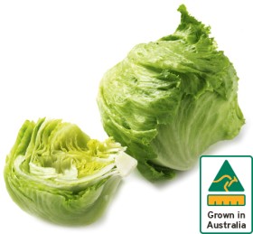 Australian+Iceberg+Lettuce
