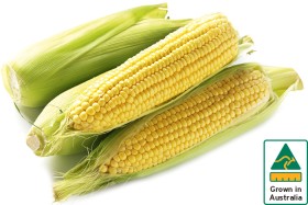 Australian-Sweet-Corn-500g-Pack on sale
